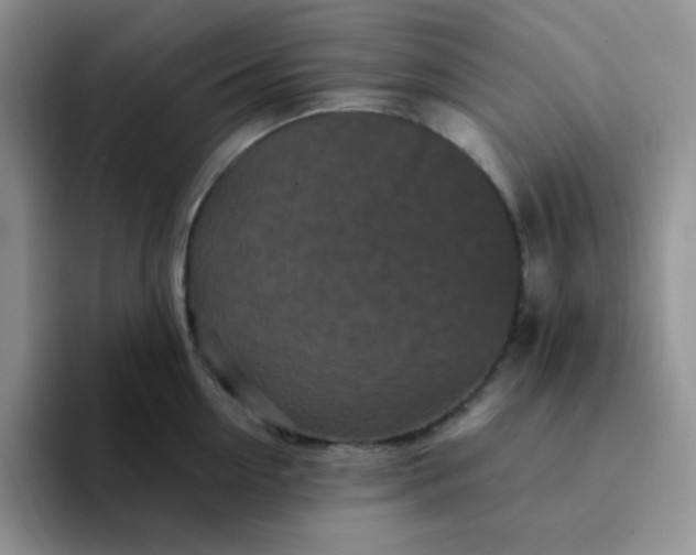 X0000094230954200711091312