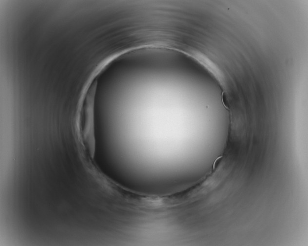 X0000094230956200711091312