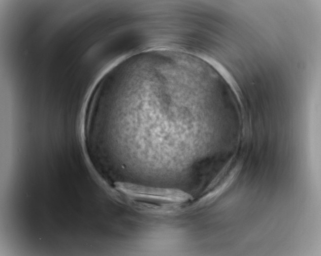 X0000094230957200711091312