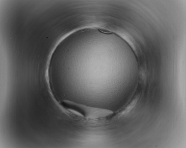 X0000094230959200711091312