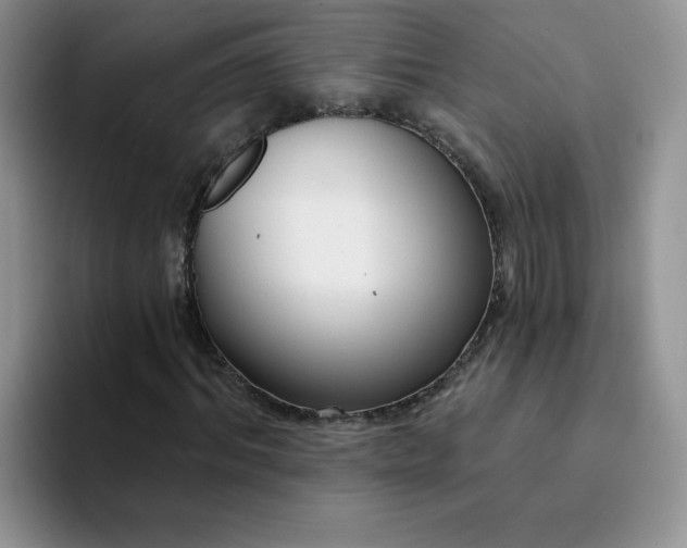 X0000094230964200711091311