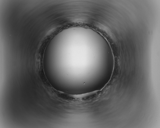 X0000094230968200711091311