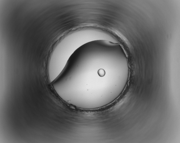 X0000094230969200711091311