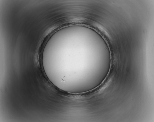 X0000094230970200711091311