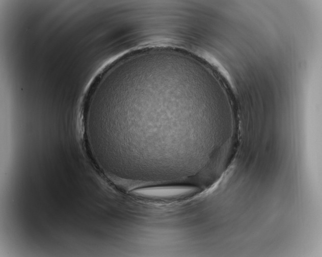 X0000094230973200711091311