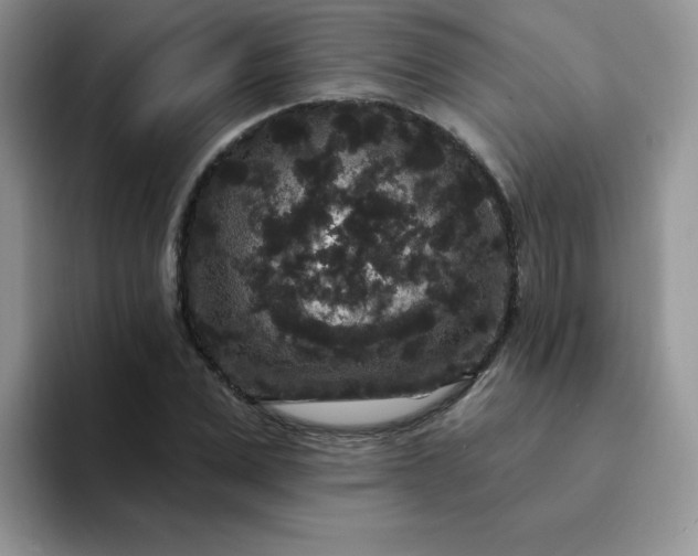 X0000094230975200711091311