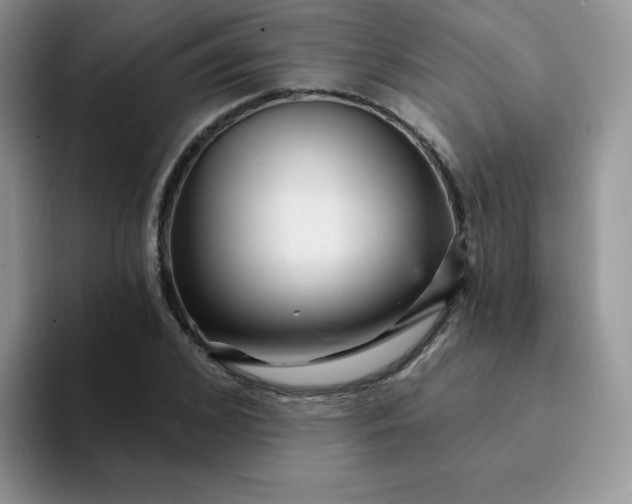 X0000094230976200711091311