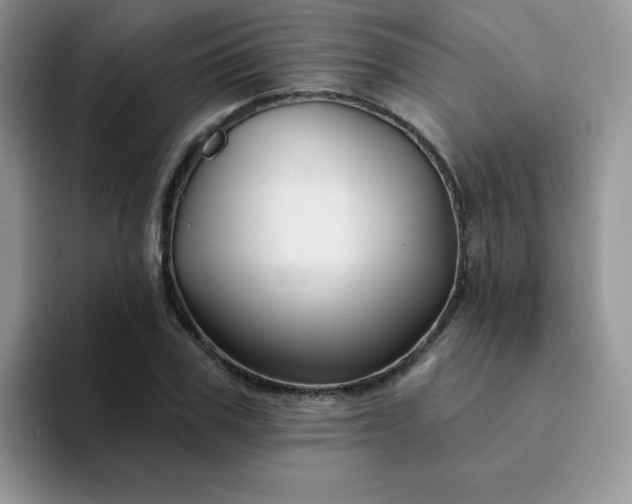 X0000094230979200711091311