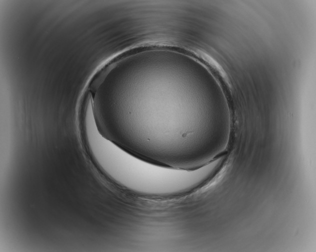 X0000094230981200711091311