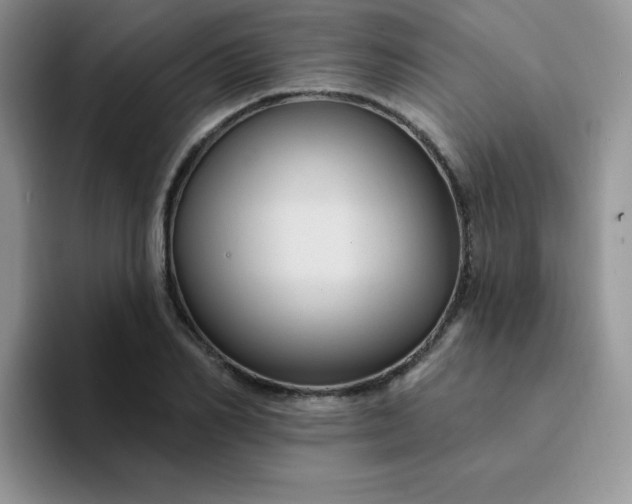 X0000094230982200711091311