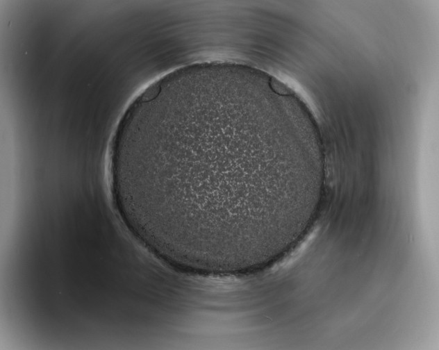 X0000094230983200711091311