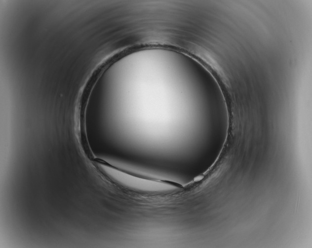 X0000094230984200711091311