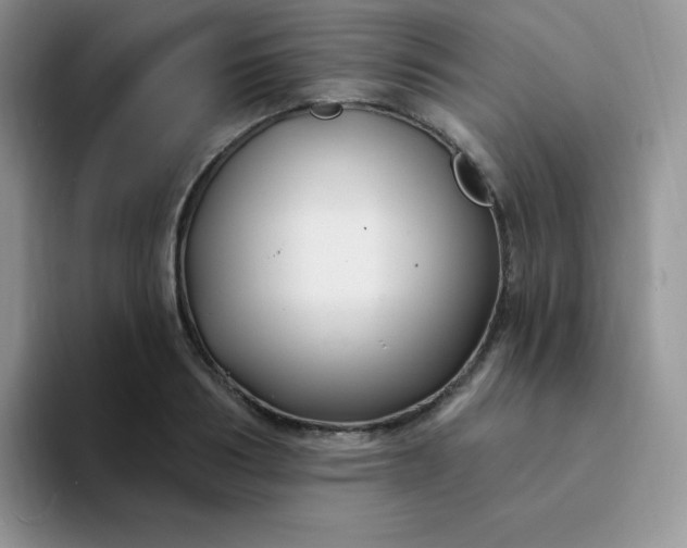 X0000094230986200711091311