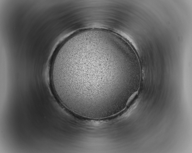 X0000094230987200711091311