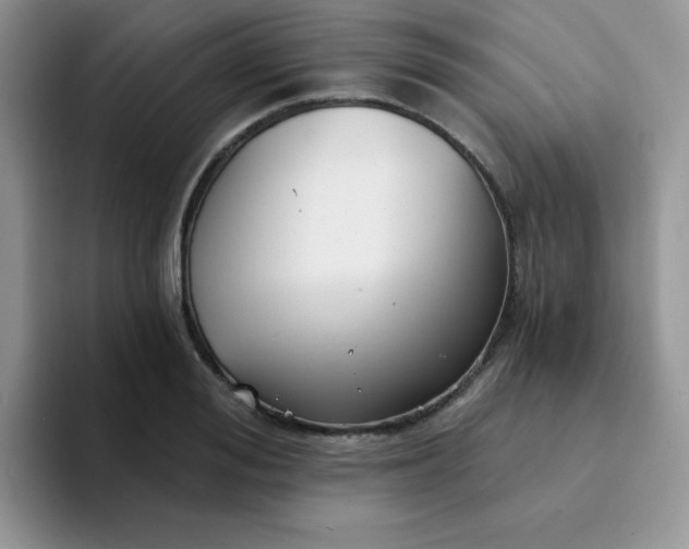 X0000094230988200711091311