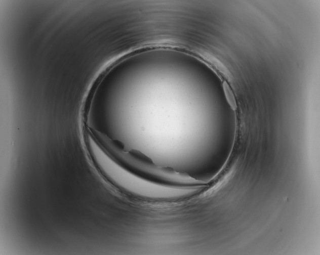 X0000094230989200711091311