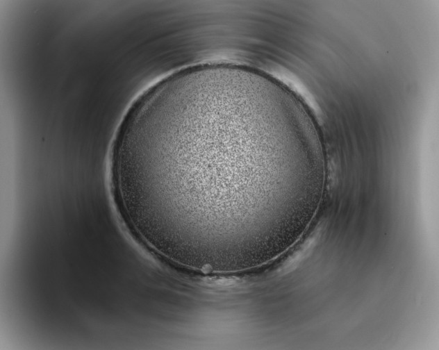 X0000094230991200711091311