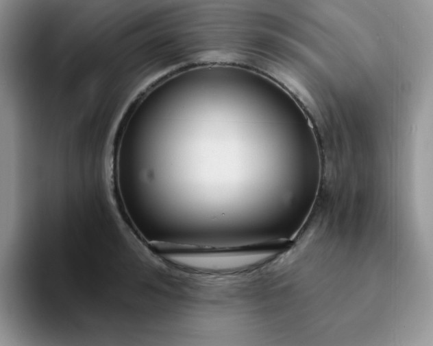 X0000094230992200711091311