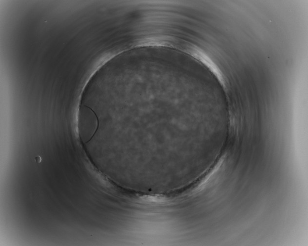 X0000094230994200711091311