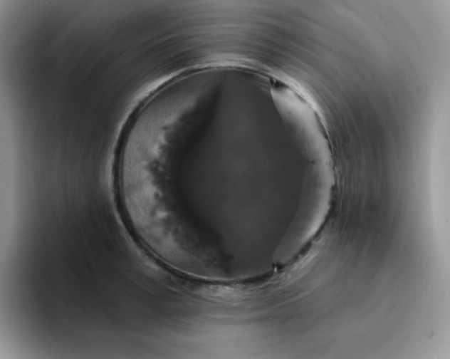 X0000094230995200711091311