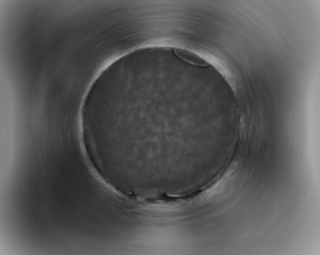 X0000094230998200711091311