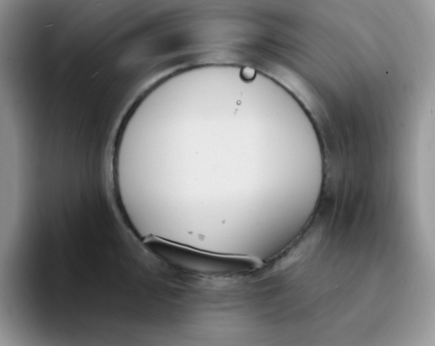 X0000094231000200711091311