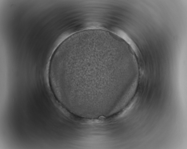 X0000094231002200711091311