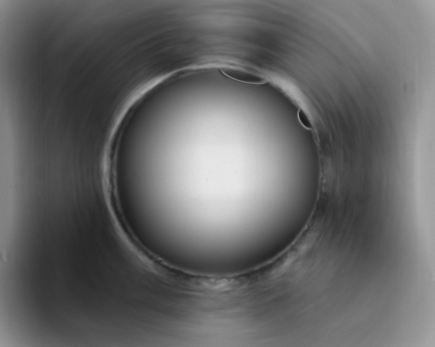 X0000094231003200711091311