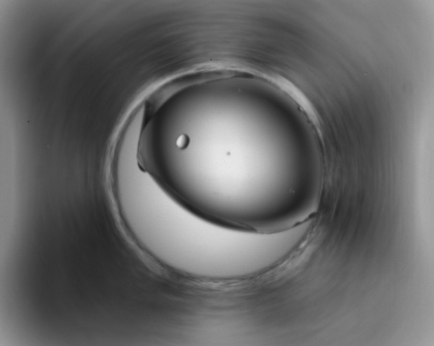 X0000094231005200711091311