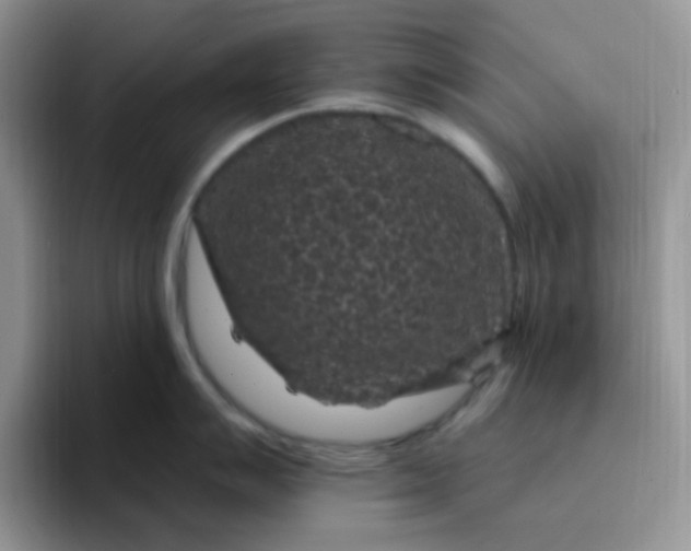 X0000094231007200711091311