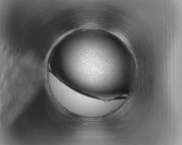 X0000094231008200711091310