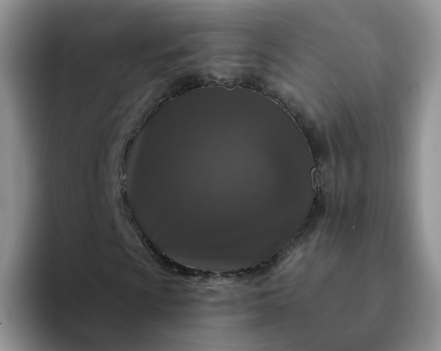 X0000094231009200711091310