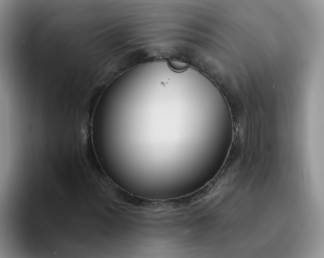 X0000094231012200711091310