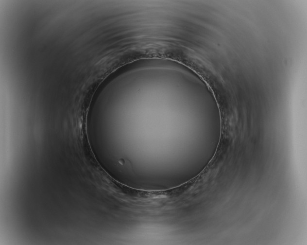 X0000094231013200711091310