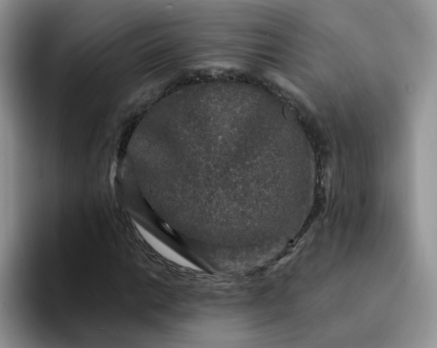 X0000094231014200711091310