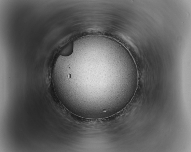 X0000094231015200711091310