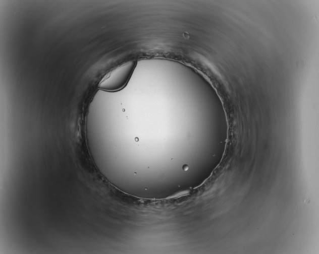 X0000094231016200711091310