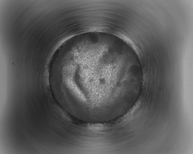 X0000094231019200711091310