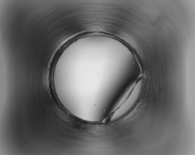 X0000094231020200711091310