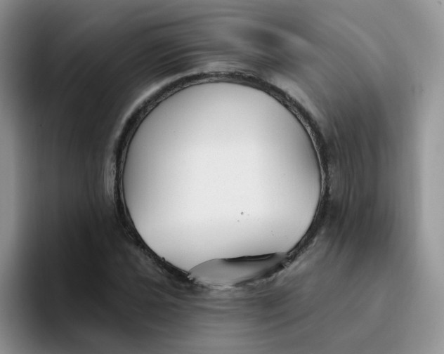 X0000094231021200711091310