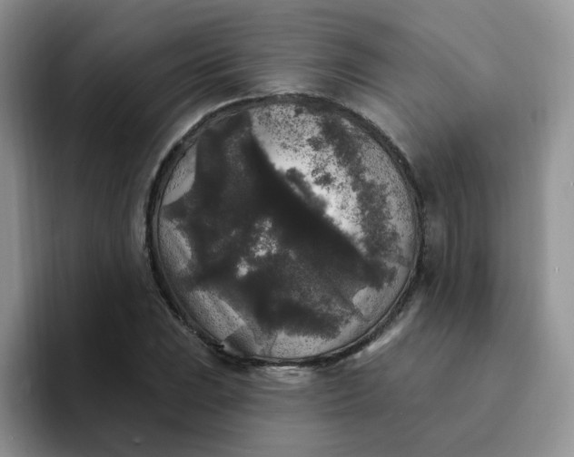 X0000094231023200711091310