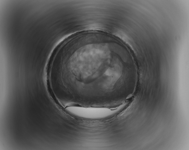 X0000094231024200711091310