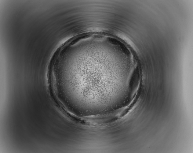 X0000094231026200711091310