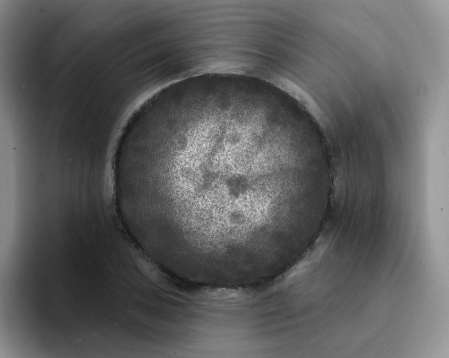 X0000094231027200711091310