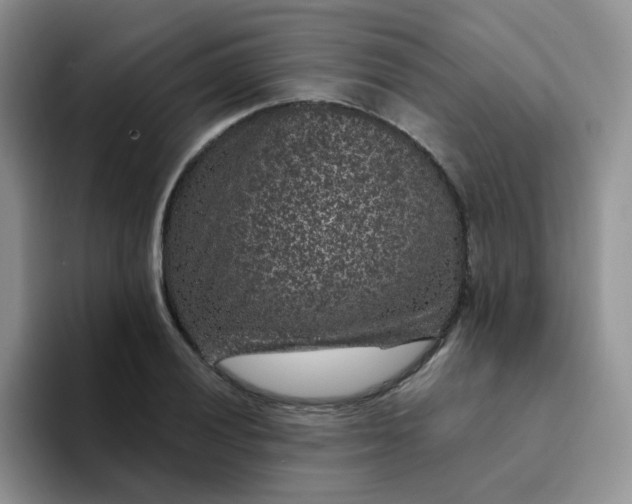 X0000094231028200711091310