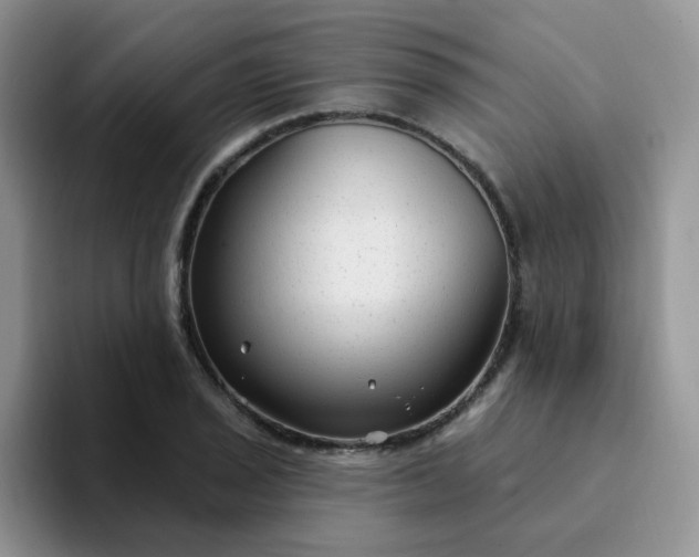 X0000094231029200711091310