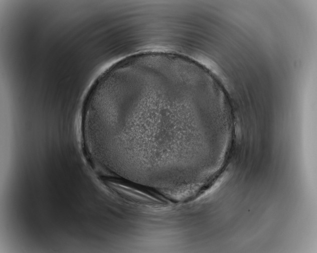 X0000094231030200711091310