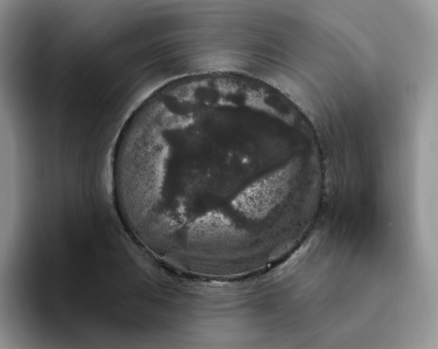 X0000094231031200711091310