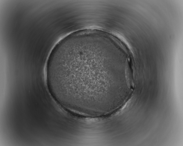 X0000094231032200711091310