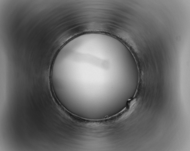 X0000094231033200711091310